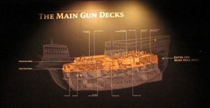 The Mary Rose Museum