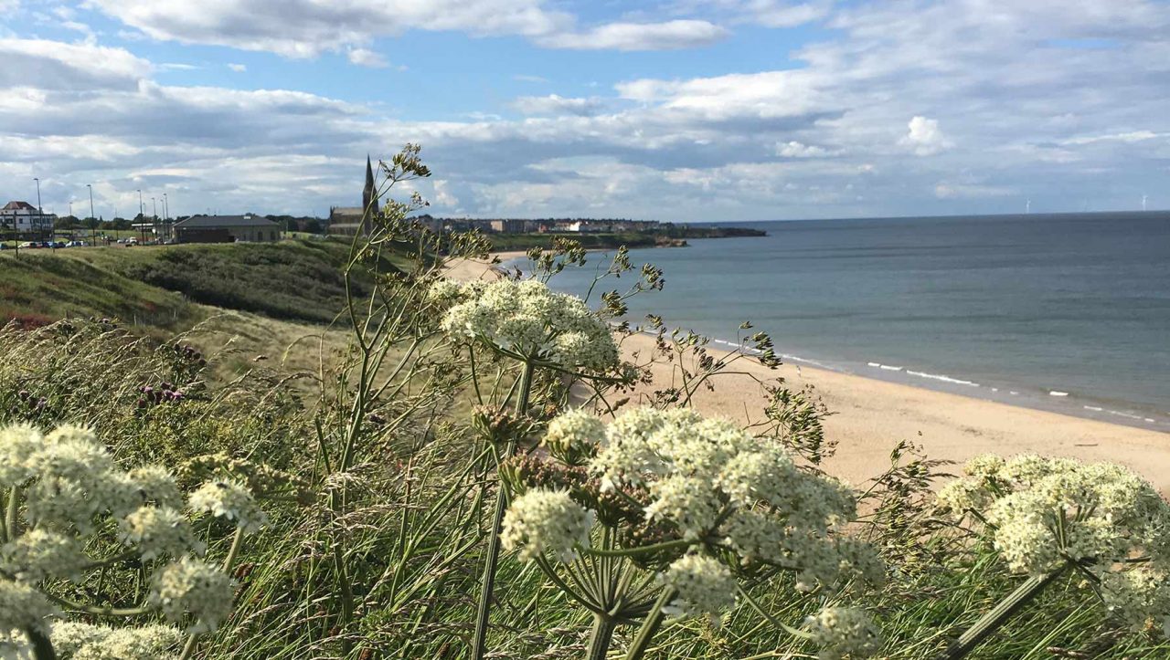 Longsands Beach
