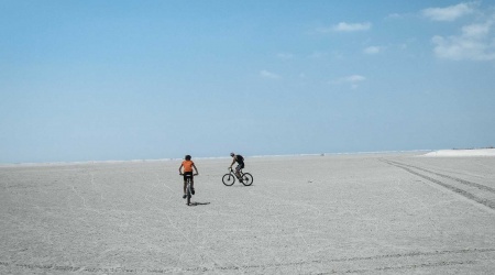 camargue