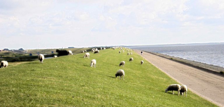 Harlingen