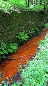 Clyne Valley Country Park