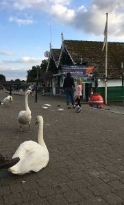 Cycle Network Route 6